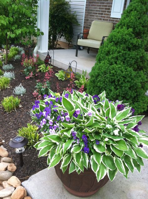 hostas in planters | Hostas in a pot... Hostas In Containers, Hostas Garden, Shade Outdoor, Shade Garden Plants, Diy Planter, Hosta Gardens, Container Garden Design, Landscaping Flowers, Container Gardening Flowers