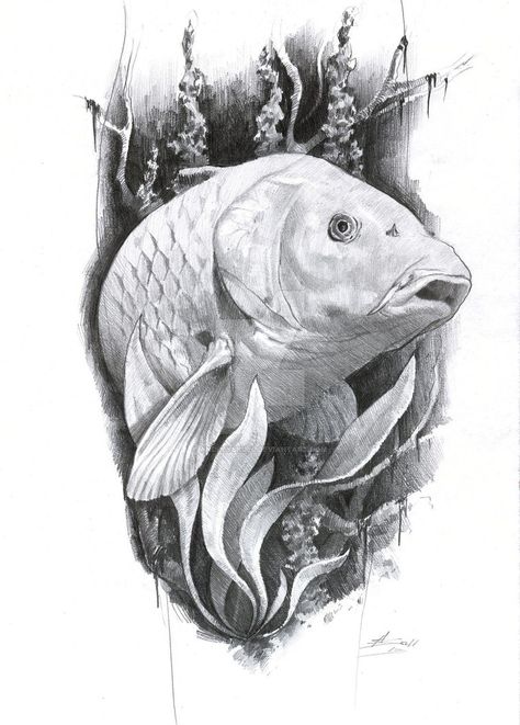 carp tattoo by AndreySkull Carp Tattoo, Koi Carp, A Pencil, Carp, Pencil Drawing, Koi, Pencil, Fish, Water