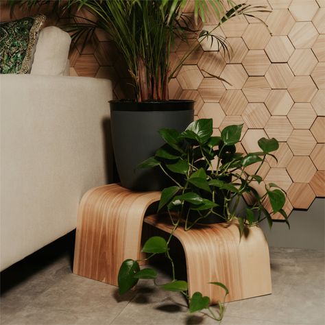 Floor Plant Stand/Podium/Pedestal Key Benefits: Set of 3 includes 3 sizes:  S: 12 cm x 41.5 cm x 28 cm (4.7 in x 16.3 in x 11 in) M: 20 cm x 42.5 cm x 28.5 cm (7.9 in x 16.7 in x 11.2 in) L: 28.5 cm x 44 cm x 28.5 cm (11.2 in x 17.3 in x 11.2 in) Strength & Durability: Engineered to be sturdy enough to support up to 50 kg (110 lbs), our plant holders are built to hold everything from delicate orchids to substantial indoor trees.  These unique flower stands take up minimal space when not in use, Floor Plant Stand, Flower Pedestal, Indoor Plant Display, Woodworking Gifts, Unique Side Table, Garden Plant Stand, Support Pour Plante, Modern Plant Stand, Indoor Trees