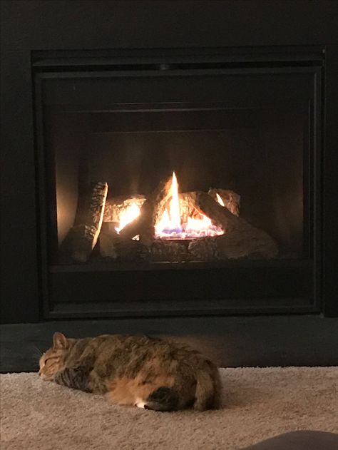 Aesthetic Fireplace, Fireplace Aesthetic, Cottage Academia, Nostalgic Aesthetic, Fall Fireplace, His Dark Materials, Aesthetic Cat, Character And Setting, Cottage In The Woods