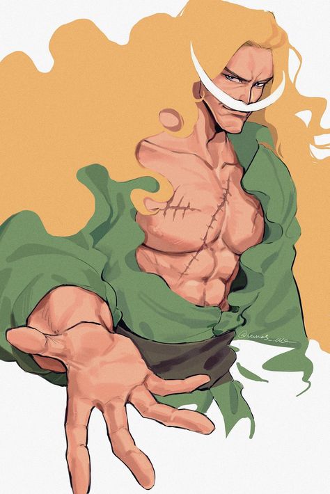 One piece Barba Blanca One Piece, Whitebeard One Piece, Barba Branca One Piece, Doflamingo Wallpaper, One Piece Crew, White Beard, One Piece Drawing, One Piece Images, One Piece Comic