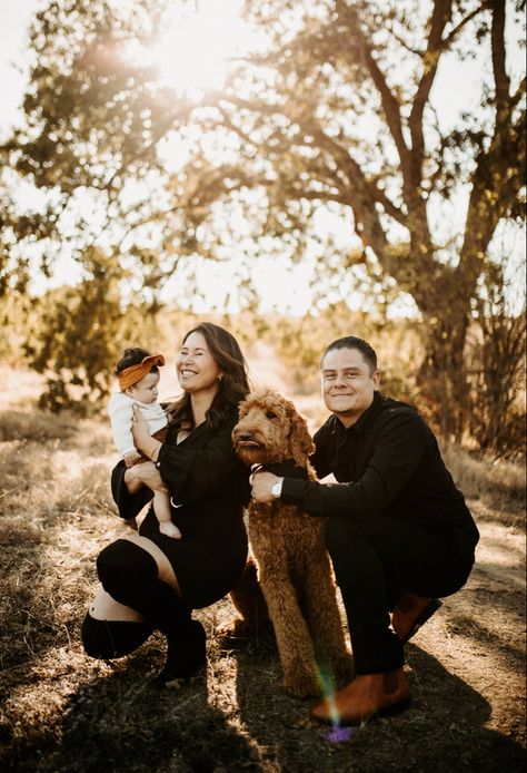 Dog And Baby Christmas Photo, Family Photos With A Dog, Family Photoshoot With Dog And Kids, Family Photos With Dogs And Toddler, Family Photos With Dogs And Baby, Family Photos With Baby And Dog, Family Photoshoot With Dog, Family Dog Pictures, Photoshoot With Dog