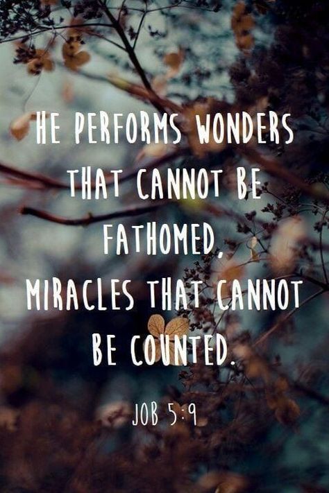 Bible Verses About Faith: he performs wonders that cannot be fathomed Vertrouw Op God, How To Believe, Good Quotes, Ayat Alkitab, Life Quotes Love, Favorite Bible Verses, Scripture Quotes, Verse Quotes, Bible Inspiration