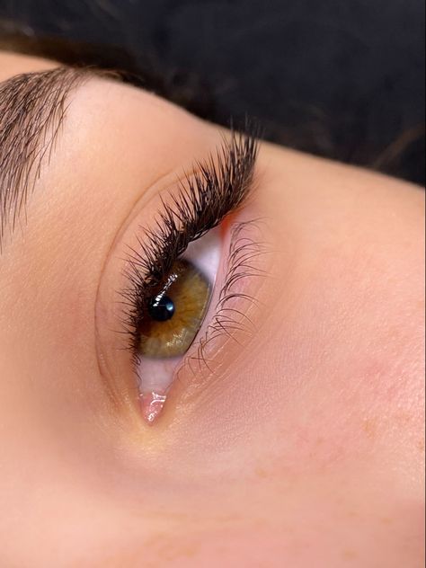 2D lashes with L curl Classic L Curl Lash Extensions, Lash Extensions L Curl, M Curl Lash Extensions, L Curl Lash Extensions, L Curl Eyelash Extensions, L Lashes, 2d Lashes, L Curl Lashes, Funny Tumblr Comments