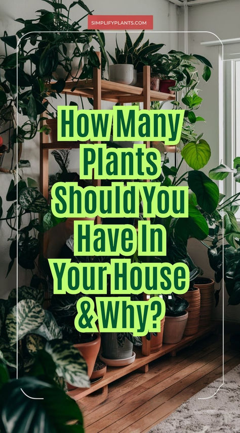 "House plants, indoor gardening, plant care, plant placement, plant 
varieties, plant aesthetics, plant health, plant benefits, plant decor, 
plant arrangement." How To Clean Plants To Bring Inside, Green Plant Room Decor, Plants In The Window Ideas, Indoor Houseplants Decor, Healing Plants Indoor, How To Fit More Plants In A Room, Home Indoor Garden, Different House Plants, Magical House Plants