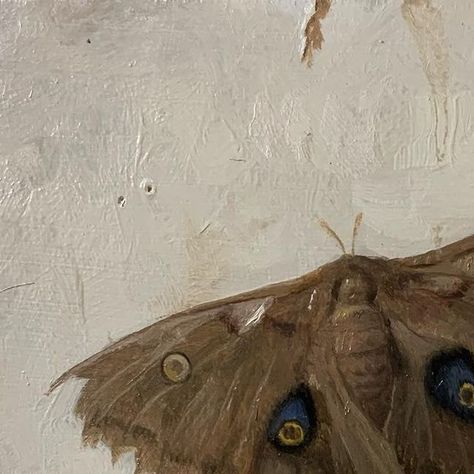 Justin Wood on Instagram: "Polyphemus Moth #trompoeil #stilllife #stilllifepainting #realism #contemporaryart #contemporarypainting #artistsofinstagram #artistsoninstagram" Moths Painting, Polyphemus Moth, Moth Painting, Still Life Painting, Contemporary Paintings, Painting Acrylic, Realism, Wood Art, Moth