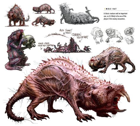 Molerat Art - Fallout 4 Art Gallery Rat Concept Art, Rat Monster, Fallout 4 Concept Art, Fallout Rpg, Mole Rat, Fallout Concept Art, Fallout Art, Creature Artwork, Fantasy Beasts