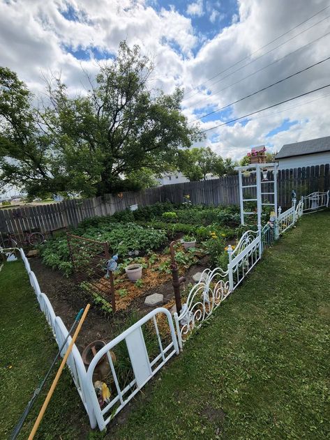 Diy Yard Decor, Backyard Garden Layout, Upcycle Garden, Texas Gardening, Garden Help, Yard Project, Garden Yard Ideas, Garden Edging, Garden Fencing