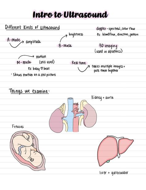 This is a basic overview to ultrasound including scanning planes, physics, machine definitions, and common ultrasound terminology! Sonography Student Essentials, Ultrasound Terminology, Ultrasound Physics Study, Ultrasound Notes Study, Sonography Student Graduation Pictures, Ultrasound Technician Notes, Ultrasound Technician Aesthetic Notes, Medical Sonography Aesthetic, Ultrasound Tech Study Notes