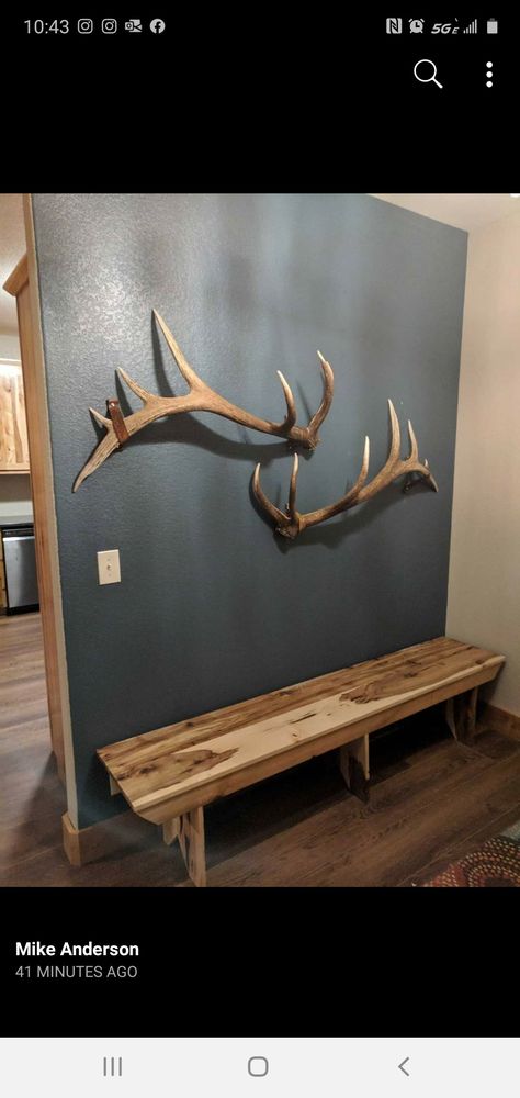 Elk Decor Rustic Living Rooms, Elk Antler Wall Decor Ideas, Elk Over Fireplace Living Rooms, Elk Shed Antler Display Ideas, Antler On Wall Decor, Hunting Room Design Ideas, Caribou Antlers Decor, House Decor With Deer Mounts, Elk Rack Mount