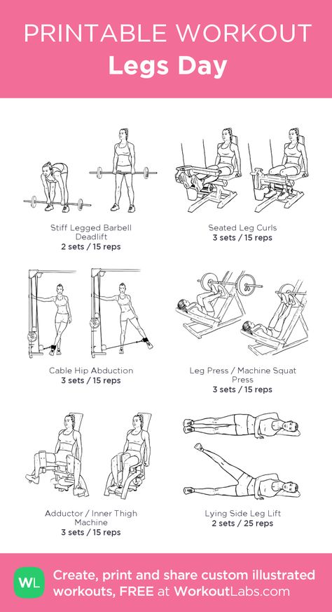 Legs Day: my visual workout created at WorkoutLabs.com • Click through to customize and download as a FREE PDF! #customworkout Toning Leg Workouts For Women Gym, East Leg Workout, Female Leg Workout Exercises, Begginer Legs Workout, Leg Day Exercises For Women, Leg Day Workout At The Gym List, Basic Leg Day Workout, Resistance Leg Workout, Good Legs Workouts