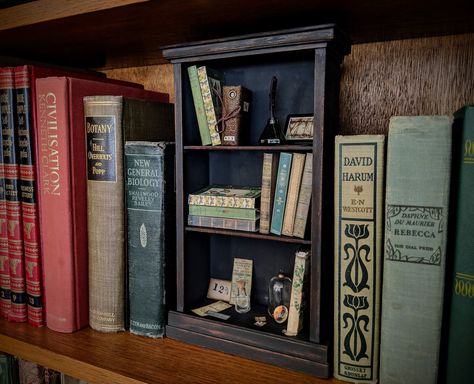 Booksmith Mini Bookcase Build - part 3 Miniature Bookcase Diy, Mini Bookcase, Miniature Bookcase, Book Nook Shelf Insert Kits, Bookcase Miniature Scene, 1:12 Scale Bookcase Diy, Homemade Dollhouse/book Shelf, Book Case, Book Nook