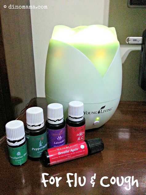 Fighting Flu & Cough with Young Living essential oil ~ We are the DinoFamily 我們是恐龍家族 | Singapore Parenting Blog Young Living Diffuser Recipes, Oil For Cough, Essential Oils For Cough, Young Living Diffuser, Essential Oils For Colds, Essential Oils For Pain, Young Living Essential Oils Recipes, Essential Oils For Sleep, Yl Essential Oils