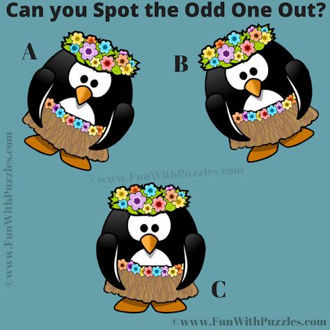 Odd One Out, Odd One Out Worksheet, Hard Puzzles, Picture Puzzle, Flappy Bird, The Odd Ones Out, Puzzles For Adults, Puzzle For Adults, Challenging Puzzles