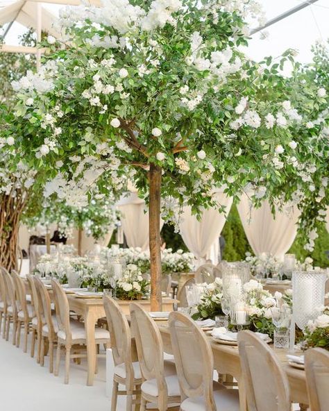 Classic Wedding Florals, Neutral Floral Wedding, Classic Garden Wedding, Ceremony Decorations Church, Ballroom Wedding Reception, Wedding Tree Decorations, Canyon Wedding, Church Wedding Flowers, Key West Wedding