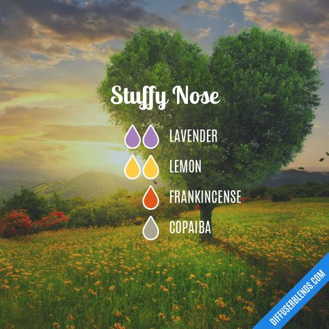 Stuffy Nose Essential Oils, Essential Oils For Nausea, Diffuser Blends Young Living, Doterra Essential Oils Recipes, Essential Oils For Kids, Essential Oil Diffuser Blends Recipes, Essential Oil Remedy, Young Living Essential Oils Recipes, Essential Oils Guide