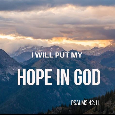 I will put my Hope in God. Blessed Life Quotes, Karma Quotes Truths, Bible Affirmations, Couple Dance Videos, Hope In Jesus, Quotes Truths, Hope In God, Bible Quotes Wallpaper, Bible Quotes Images