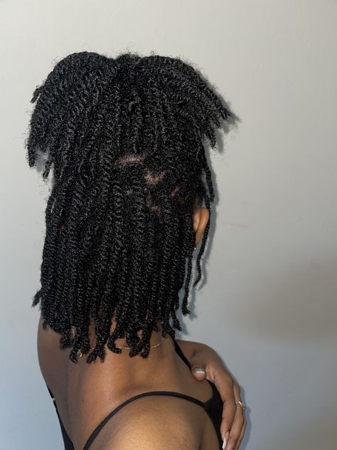 2 Strand Twist 4c Natural Hair, Two Strand Twist Girl, 2 Strand Twist 4c Hair, Two Strand Twist Women Styles, 2 Strand Twist On Women, Two Strand Twist Black Woman, Two Strand Twist Natural Hair Locs, Two Strand Twist 4c Natural Hair, 4c 2 Strand Twists