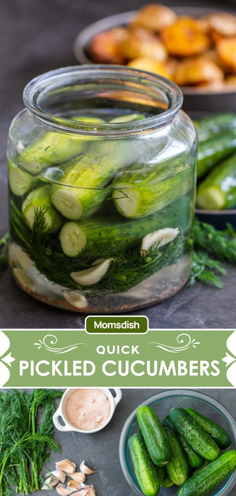 Quick Dill Pickled Cucumbers, Pickle Salt Recipe, Pickled Mini Cucumbers, Mini Cucumber Pickle Recipe, Mini Cucumber Recipes Snacks, Pickle Cucumber Recipes, Cucumber Pickle Recipes, Mini Cucumber Recipes, Pickled Cucumbers Recipe