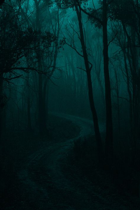 Aesthetic Slytherin, Dark Green Forest, Dark Green Aesthetic, Slytherin Aesthetic, Green Forest, Dark Forest, Green Aesthetic, At Night, Dark Green