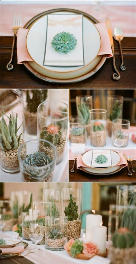 Succulent Wedding Table, Succulent Wedding Centerpieces, Succulent Centerpiece, Cactus Wedding, Tafel Decor, Succulent Bouquet, Succulent Centerpieces, Spanish Wedding, Boda Mexicana