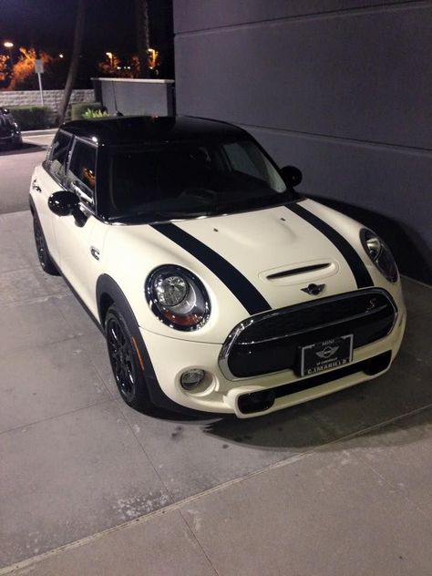 Mini Cooper 2017, Mini Cooper Accessories, Mini Cabrio, Cooper Car, Mini Cooper Classic, R34 Gtr, Mini Copper, Austin Mini, Cute Car Accessories