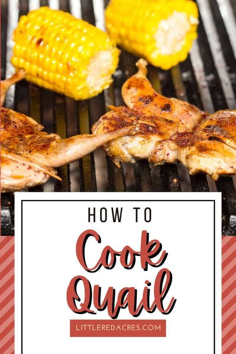 Quail Legs Recipe, Baked Quail Recipes, Roast Quail Recipes, Grilled Quail Recipes, Quail Meat, Roasted Quail, Quail Recipes, Coturnix Quail, Meat Cooking