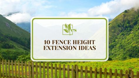 The Way You Can Make Your Fence Taller Fence Height Extension Ideas, Fence Height Extension, Short Fence, Diy Privacy Fence, Wrought Iron Fence, Fence Toppers, Lattice Fence, Types Of Fences, Old Fences