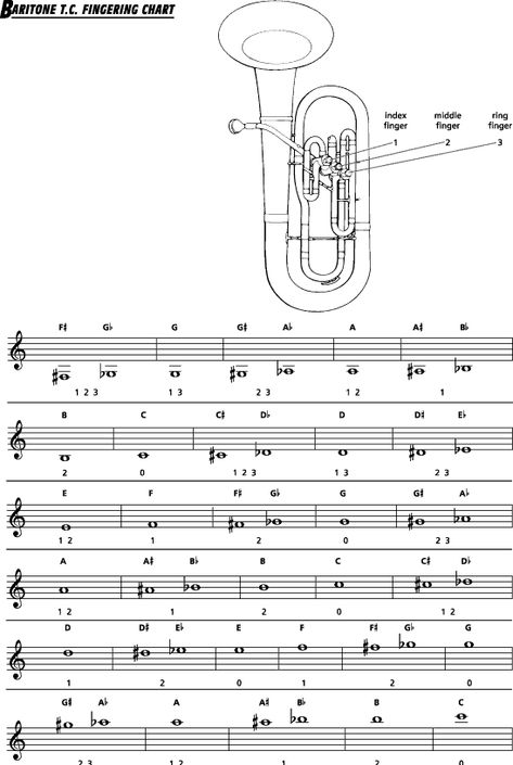 baritone(tc) fingering Baritone Horn, Middle School Band, Band Website, Music Rooms, Brass Instrument, Brass Instruments, Month Workout, French Horn, School Band