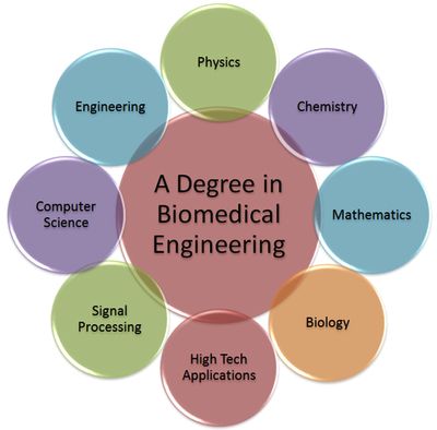 Daily Life: Second major- Biomedical Engineering Biomedical Engineering Projects, Biochemical Engineering, Engineering Quotes, Engineering Careers, Medical Engineering, Stem Careers, Med School Motivation, Medical Laboratory Science, Biomedical Science