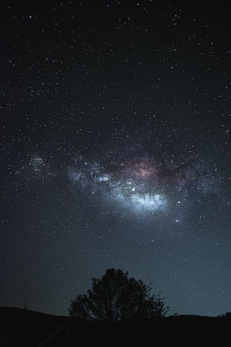 Clear Night Sky, Low Angle Shot, Sky At Night, Sky Full Of Stars, Fantasy Images, Clear Sky, Star Sky, Moon Stars, Clear View