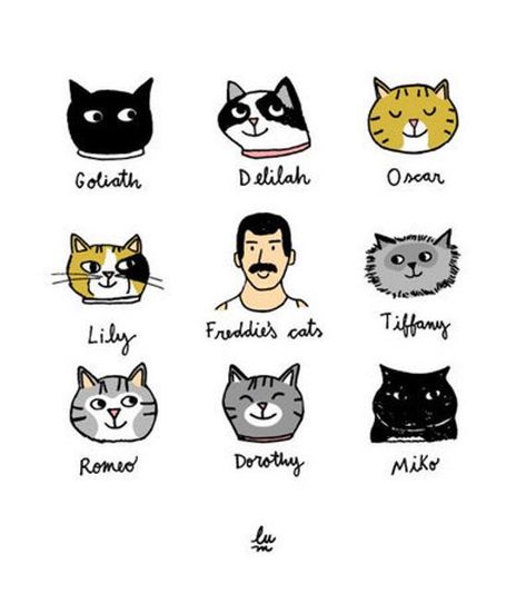 Cats Wall Print Art Freddie Mercury Poster Cat Lovers Poster Funny Cats Art Queen Illustration Freddie Mercury Poster, Mercury Poster, Queen Illustration, Queen Meme, Poster Cat, Poster Funny, Freddy Mercury, Queen Photos, Rami Malek