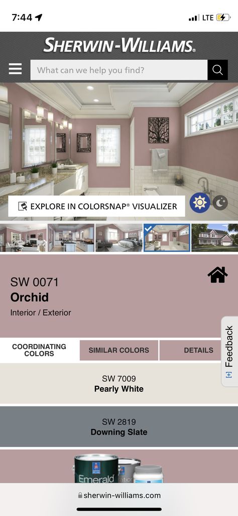 Sw Orchid Paint, Orchid Sherwin Williams, Orchid Interior, Orchid Wall, Orchids Painting, Office Colors, Wall Color, Sherwin Williams, Interior And Exterior