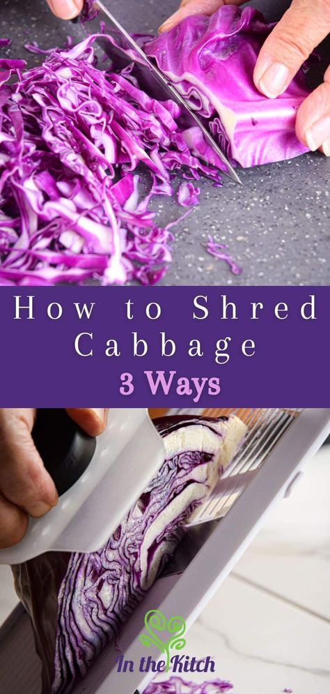 How to Shred Cabbage 3 Ways - In the Kitch Shredding Cabbage How To, How To Shred Cabbage, Quick Coleslaw, Raw Cabbage, Types Of Cabbage, Homemade Sauerkraut, Cabbage Head, Shredded Brussel Sprouts, Box Grater