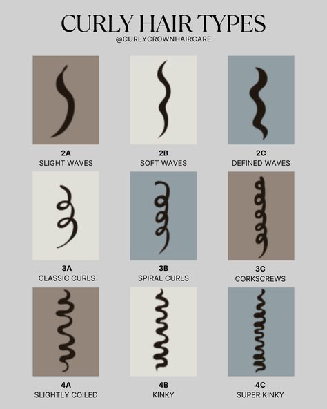 Curly Hair Type Infographic hair types explained type 2 wavy type 3 curly tyoe 4 coily 3 A Hair Type, How To Tell Your Hair Type, How To Know Hair Type, How To Know My Hair Type, Curl Hair Types, Types Of Wavy Hair Chart, 3 A Curly Hair, Haircut Ideas For Curly Wavy Hair, How To Know Your Hair Type