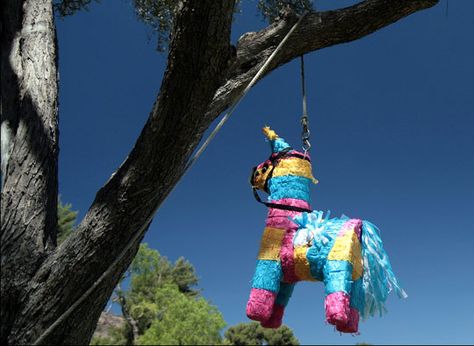 10 Things To Put In An Adult Piñata Mexican Pinata, Pinata Fillers, Piñata Ideas, Adult Party Games, Adult Birthday Party, Mexican Party, 40th Birthday Parties, Luau Party, Fiesta Party