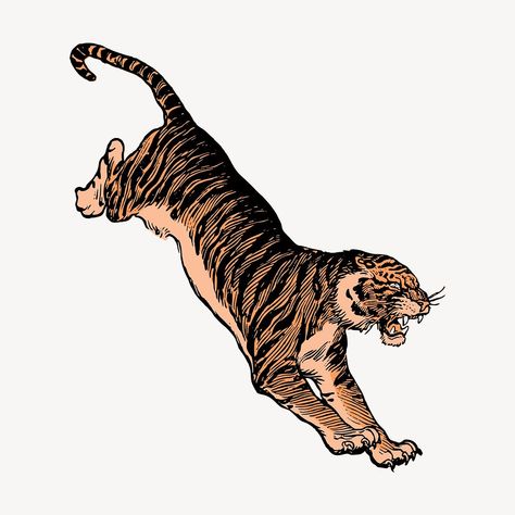 Jumping tiger clipart, wildlife illustration vector. Free public domain CC0 image. | free image by rawpixel.com Jumping Tiger, Tiger Clipart, Vector Animals, Tiger Vector, Wildlife Illustration, Tiger Drawing, Vintage Tiger, Tiger Tiger, Public Domain Images