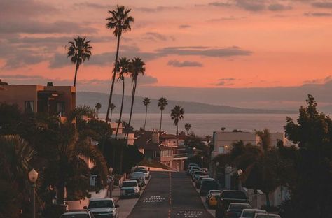 #aesthetic #sky #beautiful #pretty #ocean #city #sunset #alternative #tumblr #colors  https://weheartit.com/entry/324386895 Palm Trees, We Heart It, Trees, Laptop, California, Cars