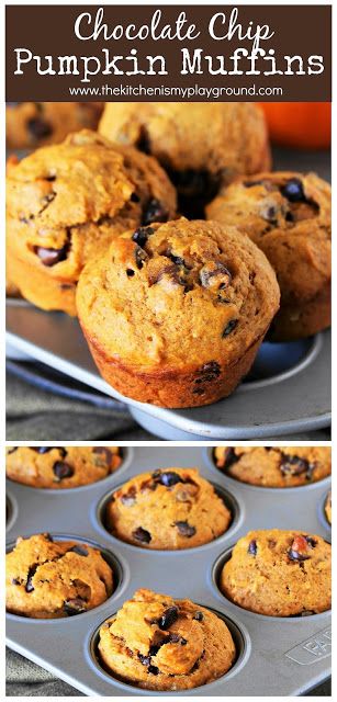 Pumpkin Muffins Moist, Chocolate Chip Pumpkin Muffins, Muffins Pumpkin, Dessert Design, Pumpkin Muffins Easy, Pumpkin Muffin Recipes, Pumpkin Chocolate Chip Muffins, Dessert Simple, Pumpkin Chocolate Chip