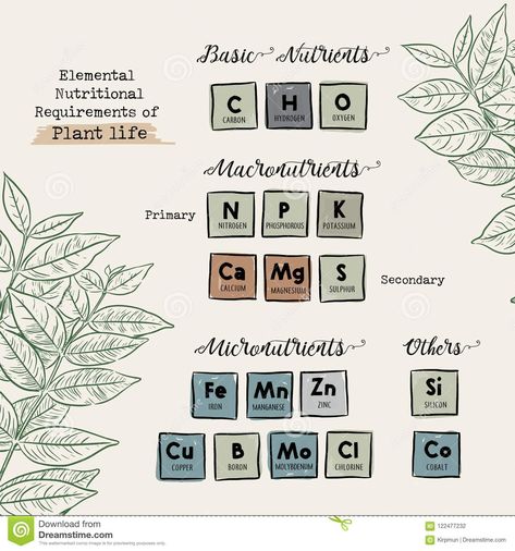 Guide Of Macronutrients And Micronutrients For Plants Vector. Stock Vector - Illustration of natural, elemental: 122477232 Macronutrients And Micronutrients, Oxygen Plant, Biological Science, Plants Vector, Macro Calculator, Pod Design, Plant Vector, Dash Diet, Ideal Body