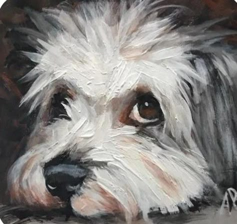 Dog Portraits Painting Oil, Dog Painting Ideas, Dog Drawing Tutorial, Bichon Havanais, Pet Portrait Paintings, Painting Dogs, Dog Portraits Painting, Acrylic Portrait Painting, Portraits Painting