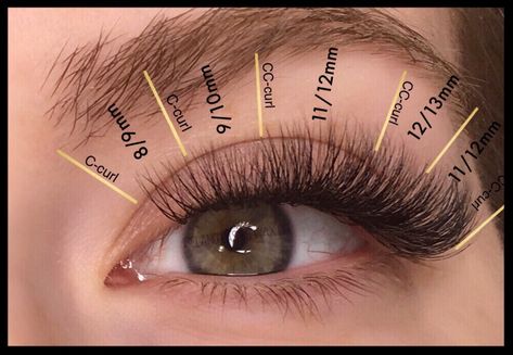 Eye styling with squirrel mapping ~Russian Volume ~Ireland lash co. Squirrel Lashes, Lashes Mapping, Lash Mapping, Lash Extentions, Lash Tricks, Eyelash Extensions Styles, Lash Business, Eyelash Extentions, Silicone Makeup