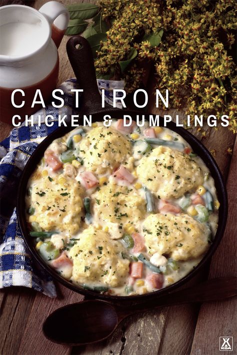 Campfire Chicken, Koa Camping, Dutch Oven Chicken, Cast Iron Chicken, Cast Iron Oven, Foil Dinners, Chicken Dumplings, Camping Dinners, Dumplings For Soup