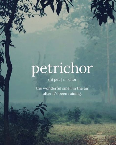 Petrichor - love this smell! . Its the smell of rain either as it falls or in anticipation of it falling. The source of this smell is from a combination of oils secreted by plants during dry weather (which signals to halt root growth and seed germination) and chemicals released by soil-dwelling bacteria. . #sweeneylandscspedesign #rain #petrichor #earth #summerrain #clay #soil #water #natural #nature #smellofrain #smell #geosmin #actinobacteria Rain Quotes, Smell Of Rain, Unique Words Definitions, Lovers Quotes, Unusual Words, Rare Words, Word Definitions, Aesthetic Words, Unique Words