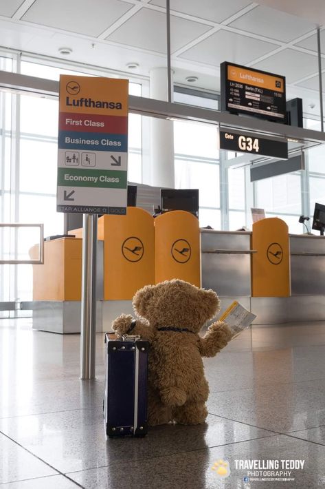 Traveling Teddy, Ted Bear, Have A Nice Trip, Custom Ipad, Cuddly Teddy Bear, Teddy Bear Pictures, Teddy Bear Doll, Bff Photoshoot Poses, Bear Outfits