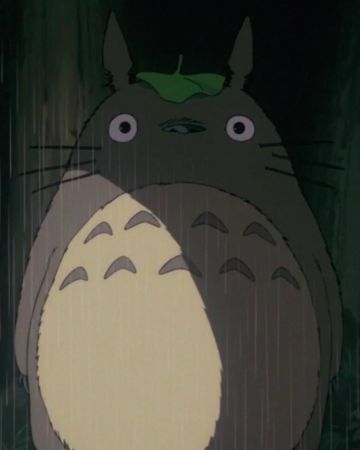 Totoro Rain, Totoro Aesthetic, Studio Ghibli Aesthetic, Ghibli Aesthetic, In The Rain, Studio Ghibli, The Rain