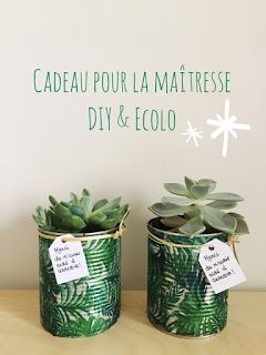 Une jolie plante pour la maîtresse et l'atsem Cadeau de fin d'année pour la maîtresse (DIY & Ecolo) . . . #cadeau #maitresse #maternelle #école #DIY #écolo #minimalist #minimalisme #jungle #plante #jungalow Diy Cadeau Maitresse, Making A House A Home, Cadeau Diy, Pretty Plants, Lego Friends, Home House, School Gifts, A House, Mother Nature