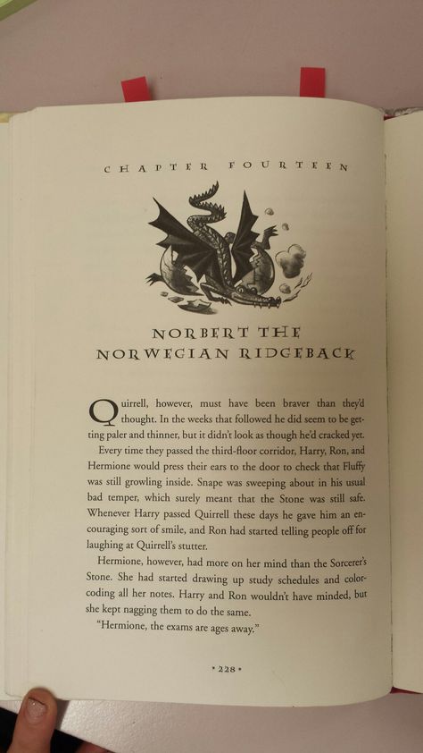 Tolkien Books Aesthetic, Norwegian Ridgeback, The Book Of Wildergorn, Norwegian Wood Book Quotes, Norwegian Wood Book Aesthetic, Norwegian Wood Book, Cursed Child Book, Children Book Cover, Harry Potter