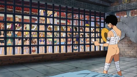 Monkey D. Luffy Screenshot Luffy Sitting, Amazon Lily, Jungle Warriors, One Piece Photos, One Piece Man, Monster Musume, One Peace, Tmnt Turtles, One Piece Funny