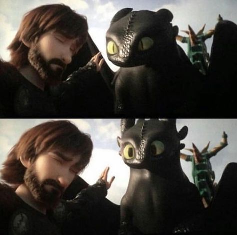 Toothless And Hiccup, Lost Innocence, Astrid Hofferson, Astrid Hiccup, Httyd 2, Train Dragon, Httyd 3, Hiccup And Toothless, Dragon Memes